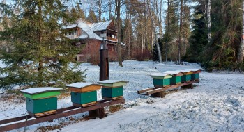 Finał - wszyscy wygrali, 8 drużyn gra dalej